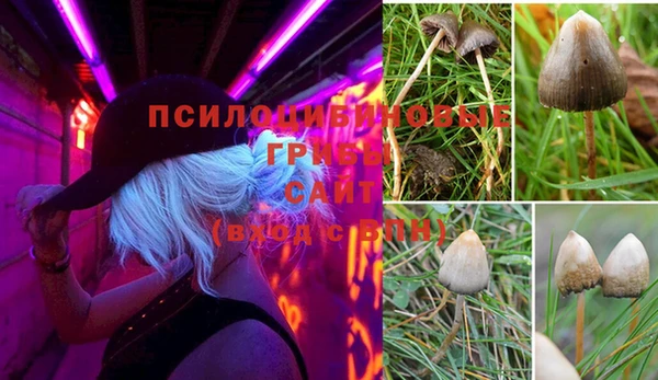 мяу мяу мука Алзамай
